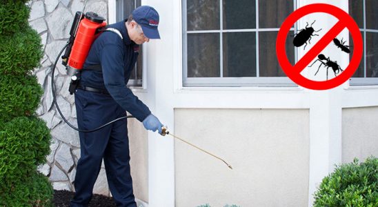 Kadıköy Haşere İlaçlama böcek ilaçlama ve haşere kontrolü — ilaclama-tr.com